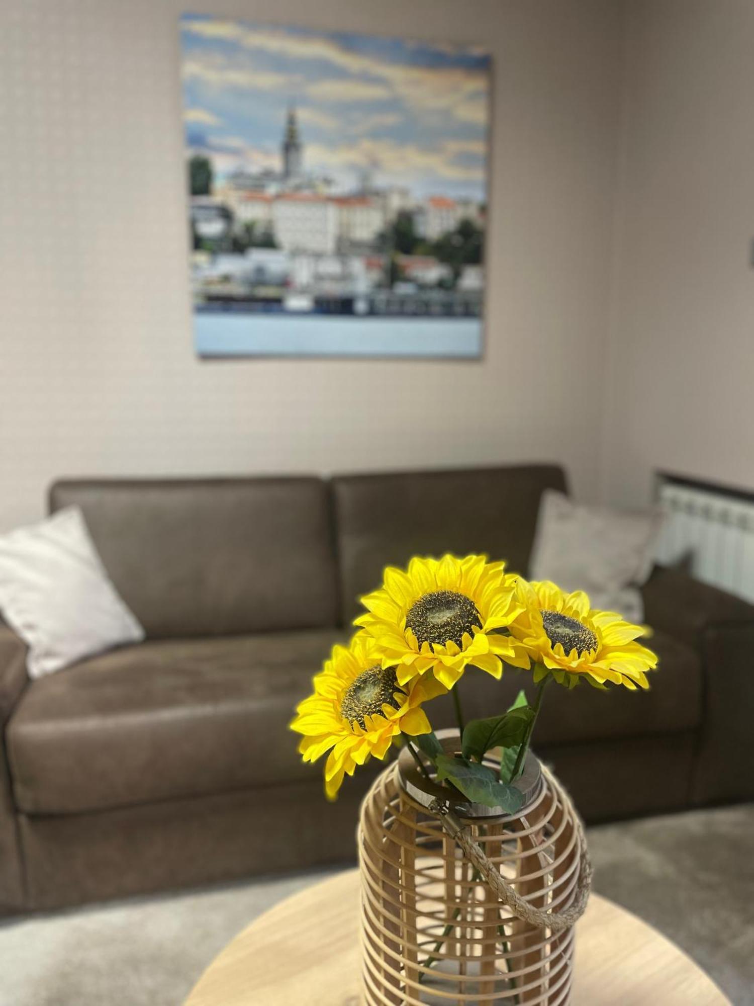City Code In Joy Belgrade Luaran gambar